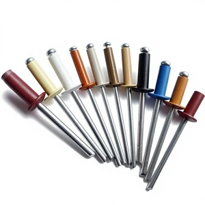 Colorful Large Flange Pop Monel Copper Dome Head Flat Stainless Steel Aluminum High Grip 1-3mm Grip Range Blind Rivets