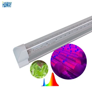Factory Red and Blue T8 Integrated V Shape Double Row Tube Grow Lamp LED Grow Light for Indoor Plant Growth