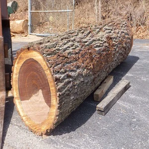 Premium Quality White Oak Log Timber with Best Appearance Fast Delivery Direct Manufacturer Sale Negotiable Price Buy Now