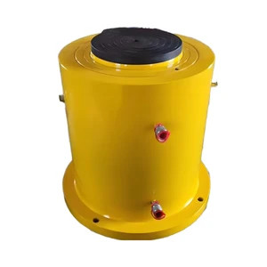 Hydraulic Jack High Strength 5 Ton 10ton 20ton 30ton 50ton 100ton Hydraulic Cylinder Jack