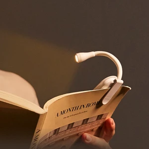 Wholesale Cheap Mini Table Led Desk Lamp Study Reading Eye Protection Light USB Rechargeable Reading Lamp