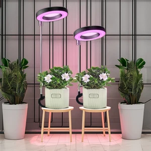 Joystar New Plant Growth LED Lamp with Dimming Timing Features Full Spectrum for Succulent Pot Bloom Application