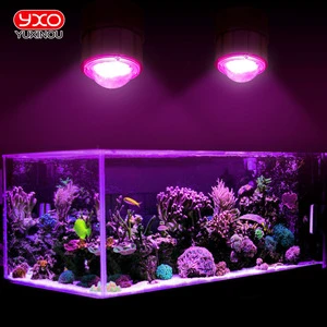 Aquarium Led Lighting White Blue Full Spectrum Aquarium Light Waterproof IP65 AC110v 220v 200W Aquarium Light With PC Cover