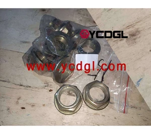 Good Sale Nut Z0104304321