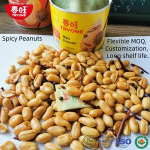 Chunwang Factory Halal Roasted Peanut Wholesale Spicy Peanut Salted Peanut 120G 150G Canned Peanuts Bag 15G 30G Salted Peanuts