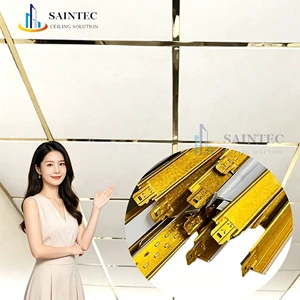 Hot Sale Gypsum Profile Metallic Board Ceiling Framing Channel Omega