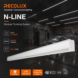 High Lumen DALI Dimmable LED Linear Track Light System with IP54 5-Year Warranty CRI 80-90 for Car Washing Rooms