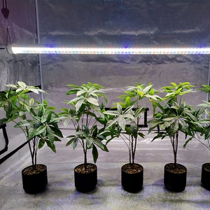46W Grow Light Strips 4ft Full Spectrum T15 Plant Tube Grow Lights for Commercial Greenhouse Hydroponics Lettuce