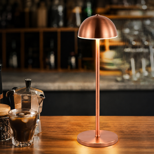 TAIKOO Simple Touch Night Light for Home with Iron Body Modern Touch Dimmable Ambient Desk Lamp