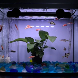 6W Super Bright Diving Multi-color Glass Aquarium Diving Light Plant tank Plastic Fish tank RGBLED Lighting Diving Light