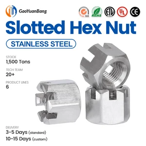DIN 935 M3 Thread 304 316 316L Stainless Steel Hex Slotted Nuts Design for Water Treatment