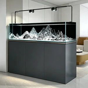 Large Rectangle Aquarium Ultra Clear Glass Fish Tank with Filtration System 160-360L Custom Luxury Living Room