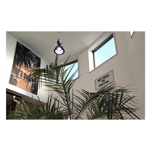 Neo Tsukuyomi 20W LED Warehouse Growing Light Lamp 3-Year Warranty High CRI 97 100-240V Input 20000 Hours Lifespan Switch