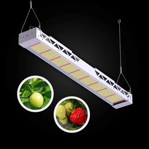 Aluminum 300W/600W Indoor Bar Vertical Farming Plant Growth IP33 Full Spectrum Dimmable LED Grow Lights 33000lm Bloom Support