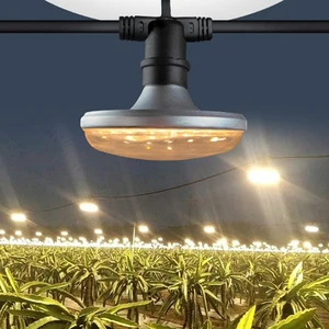 Chrysanthemum Pitaya Flower Fill Lamp Greenhouse Eustoma Russellianum Ufo Led Grow Light Jujube Led Full Spectrum Grow Light 15w