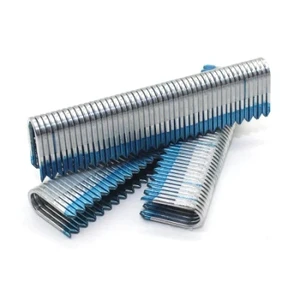 16 Ga 19 mm Stainless Steel Fence Staple with Pneumatic Tool