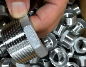 SS304 Reducing Bushing with NPT Thread