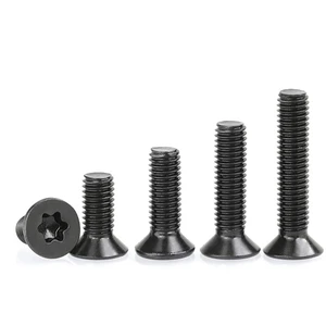 M1.6 M2 M2.5 M3 M4 M5 M6 ISO14581 Black Oxide Stainless Steel 304 Countersunk Head Star Machine Screw Torx Flat Head Screws