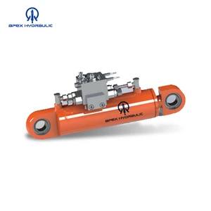 Popular Use Valve Attached Band Saw Hydraulic Cylinder in China