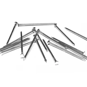 Linoleum Nail Spiral and Smooth Shank Type Steel Common Nail for Concrete and Metal Building Material