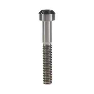 Hot Selling All Model Metric Torx Flat Head Titanium Screw