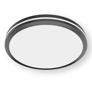Hot Sale Indoor Ceiling Light at Good Price