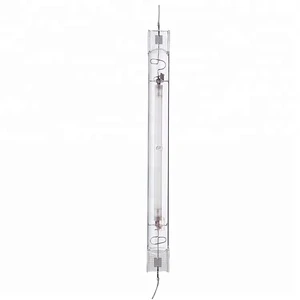 1000W Double Ended Grow Light Indoor Hps Light