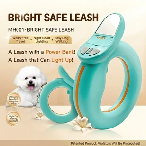 Professional Classic Pet Safety System Night Vision LED Lighting 3 Modes Ultrasonic Vibrate Correction Magnetic Fast Charging