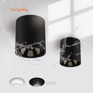 3CCT Switchable IP65 Waterproof Bathroom Light Hotel Sp0tlight Suspended Pendant Mount Ceiling Surface Mount Downlight 10w Black