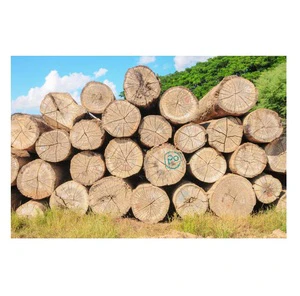 Teak Wood Round Logs for Sawmill – Premium Hardwood Timber for Lumber and Furniture Production