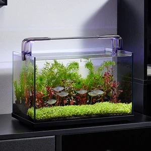 Cherlam Factory Wholesale 20 Gallon Small Aquarium Tank Desktop Ultra Clear Glass Fish Tank For Fish Farming