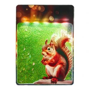 Quicksand Painted Squirrel Table Lamp LED Night Light with USB Rechargeable Dimmable Multicolored Light-Home Decor & Office Gift