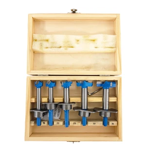5 Piece Carbide Tip Wood Drill Bit Set Woodworking Hole Puncher Locating Drill High Hardness Anti-Rust for Wood Board Drilling