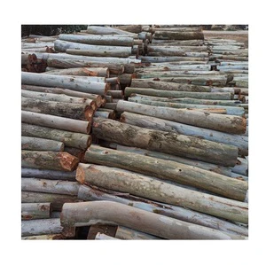 Eucalyptus Wood Round Logs for Landscaping - Garden, Mulch, and Decorative