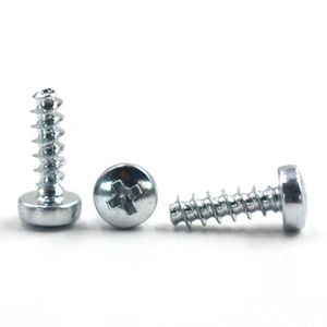 Factory Customized Phillips Oval Head Pan Self-Tapping SS Screw Thread Forming Screw Galvanized Screws for Plastic Metric