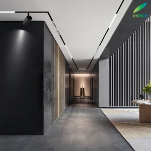 Aluminum 10W 20W 30W Aluminum Rail Recessed DC48V Linear Lighting 3000K 4000K 5000K 6000K Led Magnetic Track Fixtures