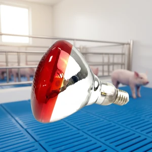 Hot HY-O Farming Tools DC 100W/150W/175w/200W/ 250W Infrared Heating Lamp