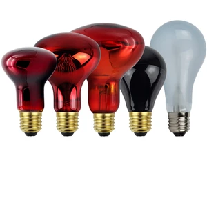 Infrared LED Pet Lamp with R63 30W/40W/60W/80W/100W/95W/150W Black Neodymium Bulb Glass Body IR Lights Item Type