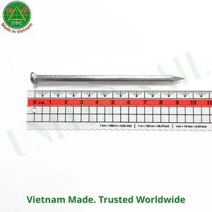 3.7 Inch Steel nails with Smooth Shank Checkered Head Style Competitive Home Improvement Pricing from Vietnam | clavo de uso gen