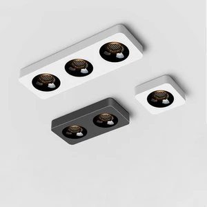 Ultra-thin Surface Mounted Downlight & Spotlight, Single/Double/Triple Head, Minimalist Anti-glare Ceiling Light for Living Room