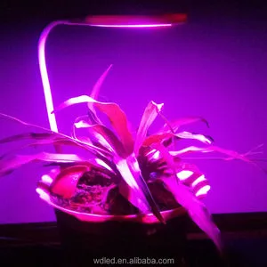 Indoor plant tissue cultured growing led light 4w with sunsine spectrums