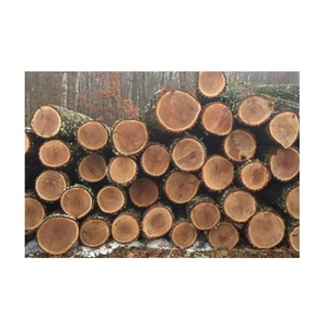 Export Quality Oak Wood Logs - Sawn, Planed, and Kiln-Dried