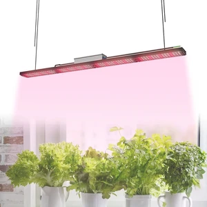IP67 100W 200W Linear Led Grow Light Bar Full Spectrum With Samsung LM301H LM281B Horticulture LED Chips For Strawberry Tomato