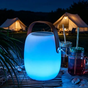 Wireless Music Light Lamp Voice Controlled App Operated Portable LED Speaker Lamp With Custom Logo