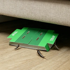 Wholesale Disposable Silverfish Killer Sticky Bug Trap Eco-friendly Insect Glue Board Trap