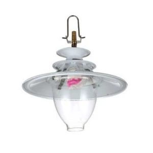 Biogass Lamp