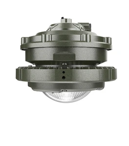 100w NEMA 4x Anti-corrosion Explosion Proof Light Project With ATEX Certification Frameproof Lighting Spotlight Ceiling Lamp