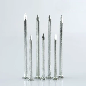 Customized Size and Surface Treatment Steel Nails Available, OEM/ODM Service Provided, Fast Delivery