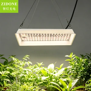 Full Spectrum Plant Grow Lights for Indoor Plants Seeding Veg Flower Greenhouse Sunlike Growing Lamps LED Grow Light
