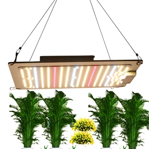 100w 200w 400w 600w LED Grow Light for Indoor Plants,Full Spectrum Dual Head Desk Clip Plant Light for Seedling